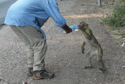 Rencontre azrou