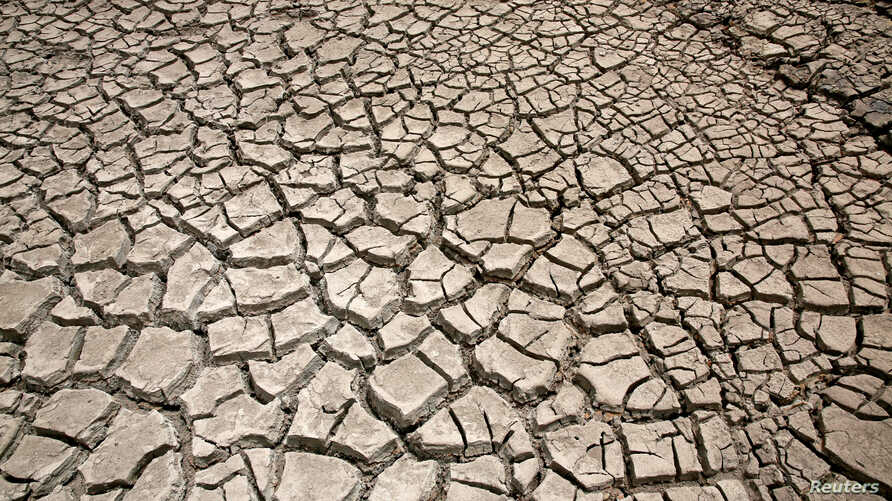 Canicule Au Maroc Des Records Absolus Enregistr S Entre Vendredi Et