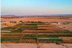 Maroc : Sand to Green lève 1 million de dollars pour déployer son modèle de plantations en milieu aride