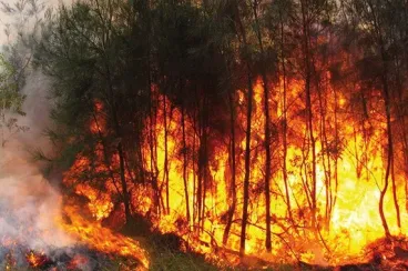 Maroc : La canicule accentue le risque d’incendies de forêts du 26 au 29 mai