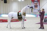 Rabat accueille l'étape du «Emirates Arabian Horse Global Cup» le 20 et 21 juillet