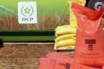 Maroc : L'OCP offre plus de 500 000 tonnes d'engrais à l'Afrique