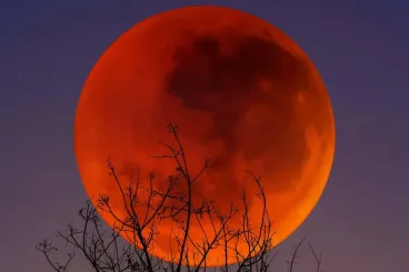 The «blood moon» lunar eclipse to shine over Morocco on September 7