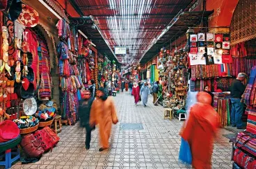 Economic, Social and Environmental Council urges small business law to support Moroccan enterprises
