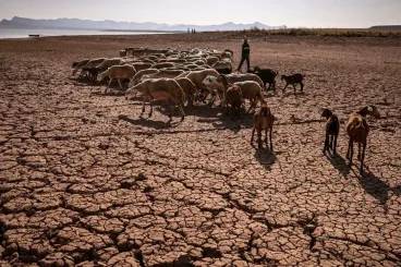 Sécheresse au Maroc : vers une pénurie d'eau extrême d'ici 2050