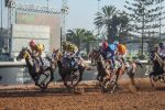 Les jockeys marocains dominent lors du 10e Morocco International Meeting