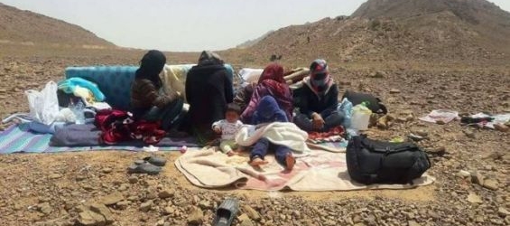 The UNHCR urges Morocco and Algeria to provide help for the Syrian refugees./Ph. Figuig Photographie 