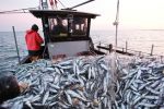 Maroc : Hausse des débarquements de la pêche de 9% à fin mars