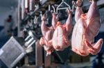 France : Le Halal en danger suite à l'interdiction d'un type d'abattage rituel de volailles ?