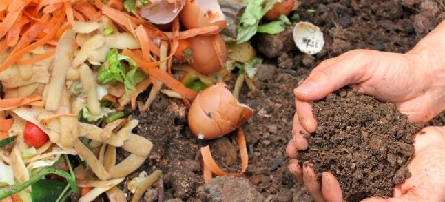 The 2017 Food and Sustainability Index warns Morocco gainst food waste./Ph. DR