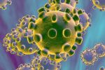 Comment détecter les symptômes du coronavirus ?