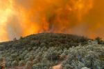 Taza : 30 hectares de forêt ravagés par le feu