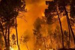 Maroc : 182 feux de forêt enregistrés depuis le début de l'année