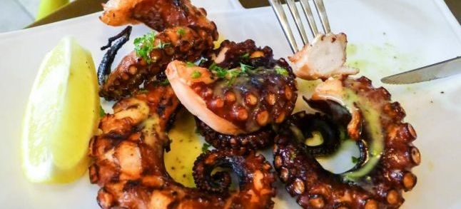 Moroccan octopus prices keep US small buyers out of market./Ph. DR