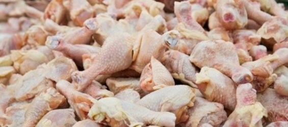Morocco to import U.S. frozen poultry products./Ph. DR
