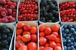 Malgré la sécheresse, le Maroc connaît une hausse des exportations des fruits rouges