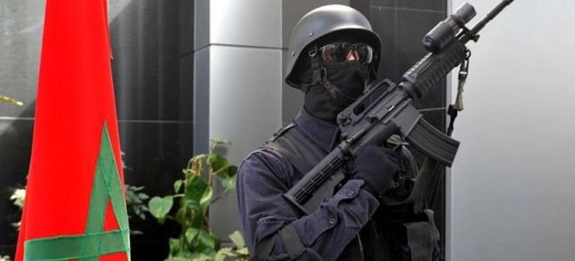 Morocco foils drug smuggling operation, seizes nearly 7 tons of cannabis resin. / Ph. DR