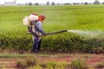 Le Maroc importe des pesticides européens interdits en Europe