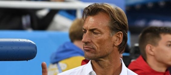 Morocco coach Hervé Renard. / Ph. DR
