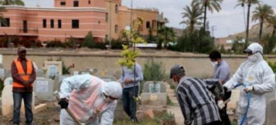 Morocco : 2,563 new coronavirus cases, 2,553 recoveries in 24 hours