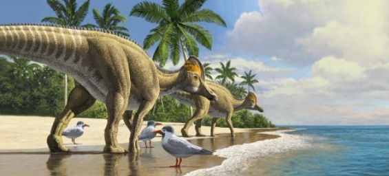 An artist’s impression of a group of hadrosaurs. / DR? Raul Martin