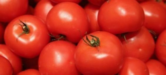 Russia plans to ban imports of certain agricultural products from Morocco
