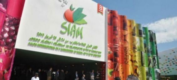 Morocco : 2021 International Agricultural Fair cancelled over COVID-19 outbreak