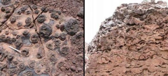 Moroccan researchers help discover extremophilic microbial life in confined spaces
