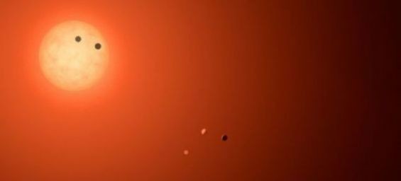 The seven planets of  TRAPPIST-1. / DR
