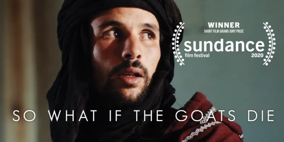 César Awards : «So What if the Goats Die» by Moroccan Sofia Alaoui nominated in best short film category