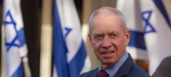 Israeli education minister Yoav Galant. / DR