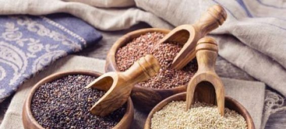 Quinoa production, a niche market in Morocco with prospects and obstacles to overcome