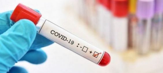 Covid-19 in Morocco : 479 new infections recorded this Saturday