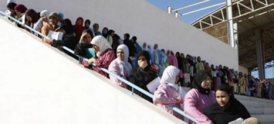 Huelva Gate : Prison sentence required against a manager of a farm in Moguer