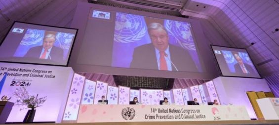 Morocco elected vice-president of 14th UN congress on Crime Prevention and Criminal Justice
