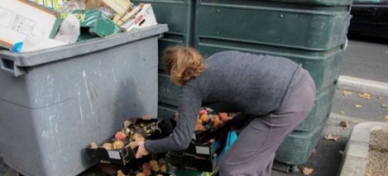 UNEP : Moroccans threw 3.3 million tonnes of food in the trash in 2019