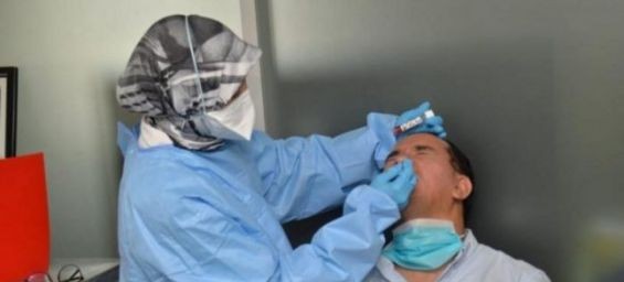 Covid-19 in Morocco : 596 new infections and 7 deaths on Thursday