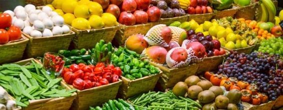 Morocco, Israel address food security and innovative agriculture during high-level conference