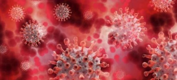 Covid-19 : The Indian variant more contagious and more resistant to the vaccine, according to WHO