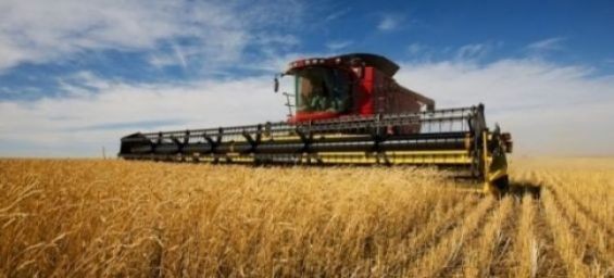 Morocco works on ensuring cereal campaign meets commercial objectives