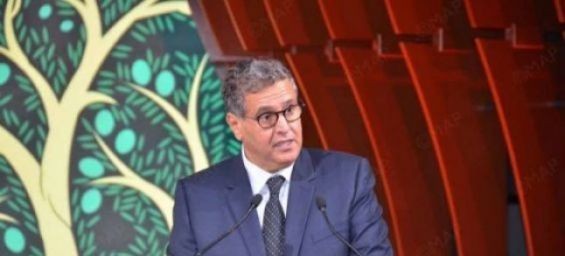 Morocco : 50,000 hectares to be planted with Argane trees by 2030