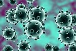 Maroc : 10 nouveaux cas confirmés, portant à 28 le nombre d'infections au coronavirus