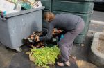 PNUE : Les Marocains ont jeté 3,3 millions de tonnes de nourriture à la poubelle en 2019