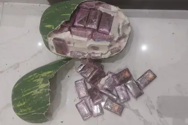 Fake watermelons used to conceal 700 kg of hashish in Morocco
