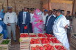Les commerçants mauritaniens contestent la réduction des importations de légumes depuis le Maroc