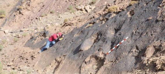 المغرب: اكتشاف آثار ديناصورات عاشت بجبال الأطلس خلال العصر الجوراسي