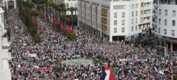 «This is not the country we knew», Israeli media accuses Moroccans of «anti-Semitism»