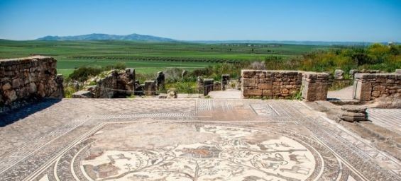 A US-backed project completes preservation of mosaic in Roman city of Volubilis