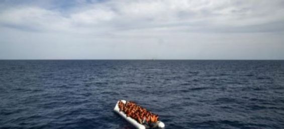 44 irregular migrants rescued off Dakhla
