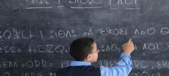 31% of Morocco’s primary schools teach Amazigh